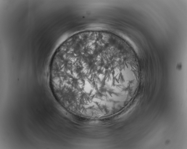 X0000102471467200808221632