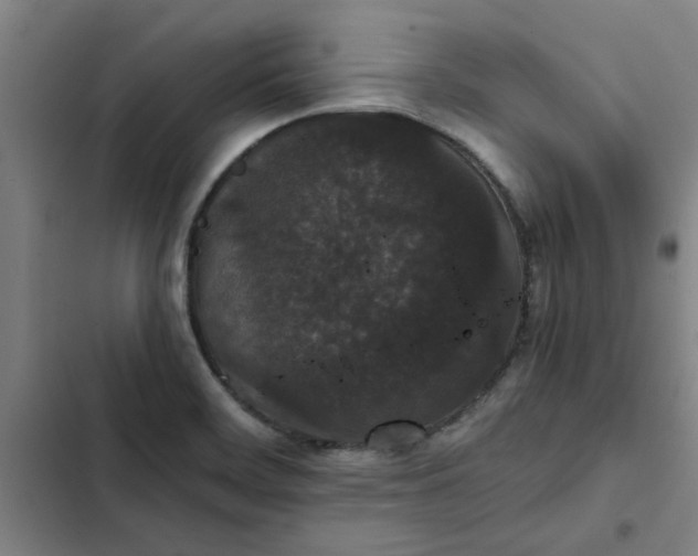 X0000102471468200808221631