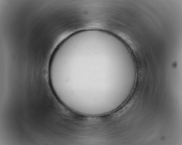 X0000102471469200808221631