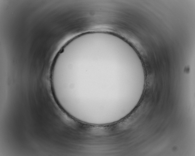 X0000102471470200808221631