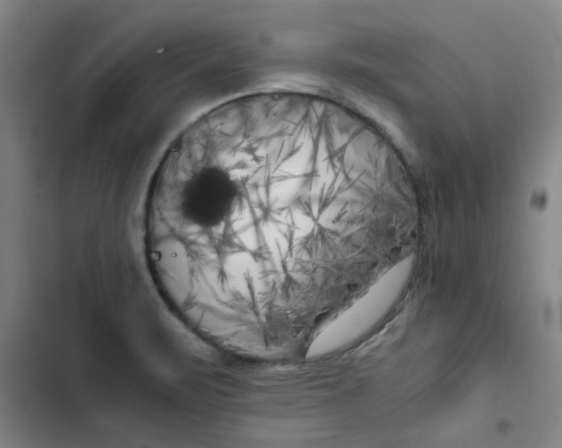 X0000102471471200808221631