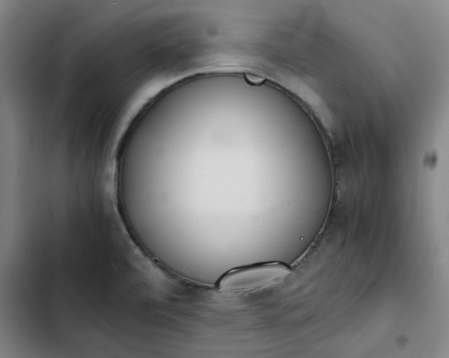 X0000102471472200808221631