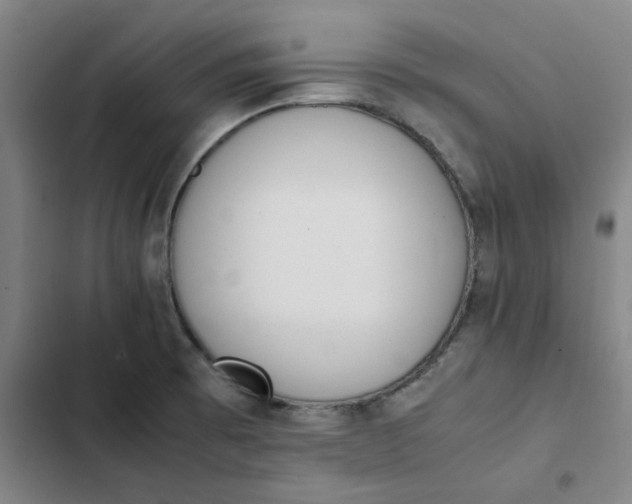 X0000102471473200808221631