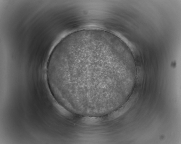 X0000102471474200808221631