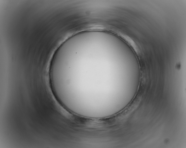 X0000102471475200808221631
