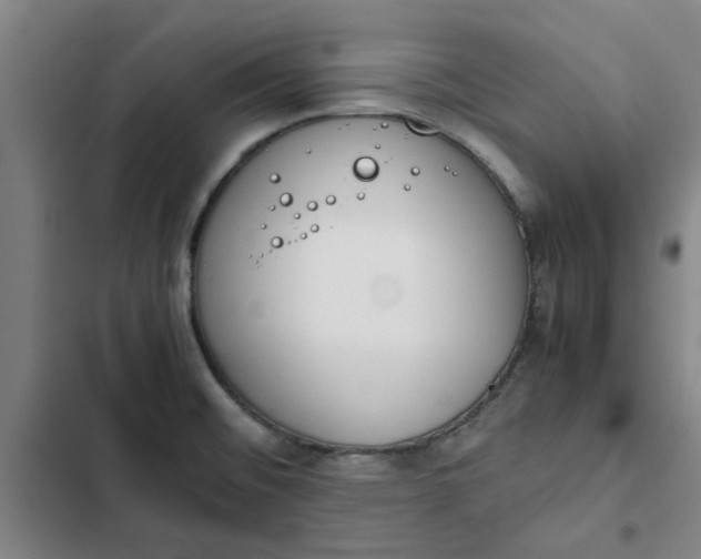 X0000102471476200808221631