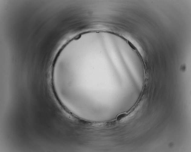 X0000102471477200808221631