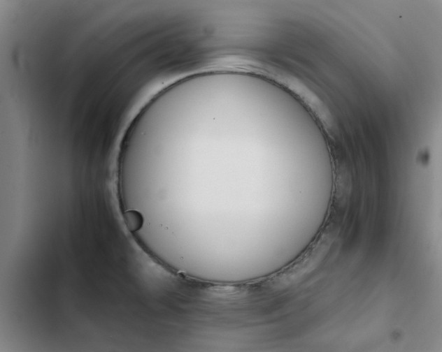 X0000102471478200808221631