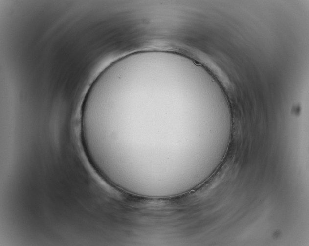 X0000102471479200808221631