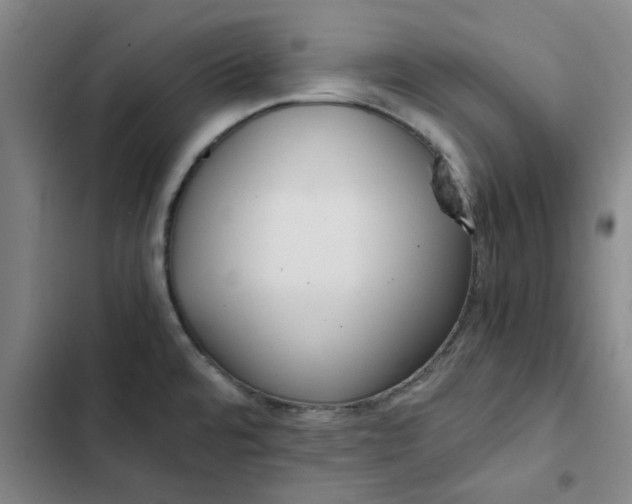 X0000102471480200808221631