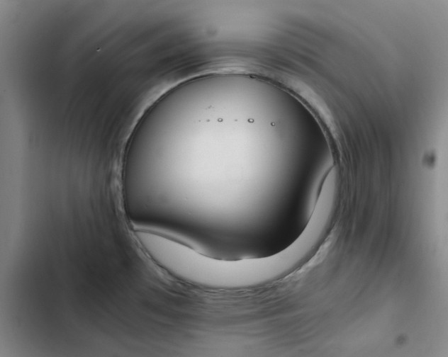 X0000102471481200808221631