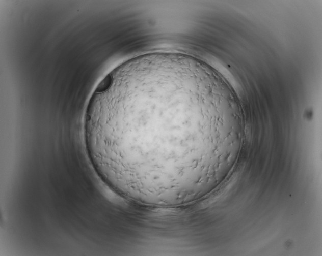 X0000102471482200808221631