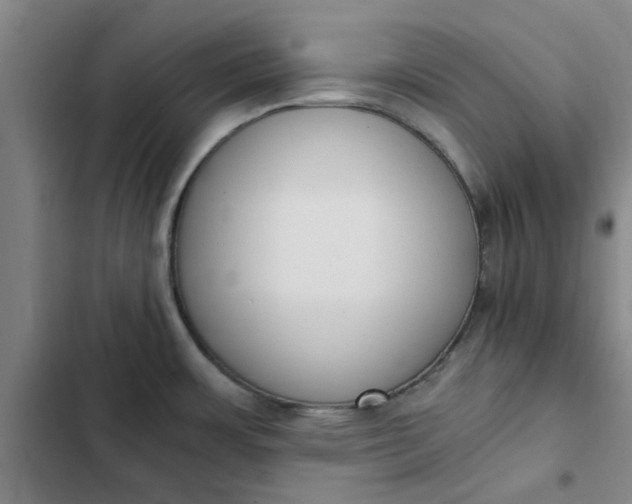 X0000102471483200808221631