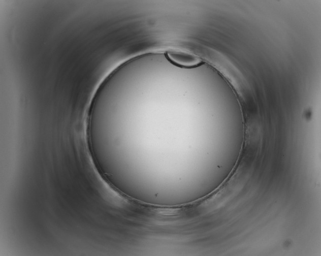 X0000102471484200808221631