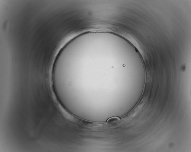 X0000102471485200808221631