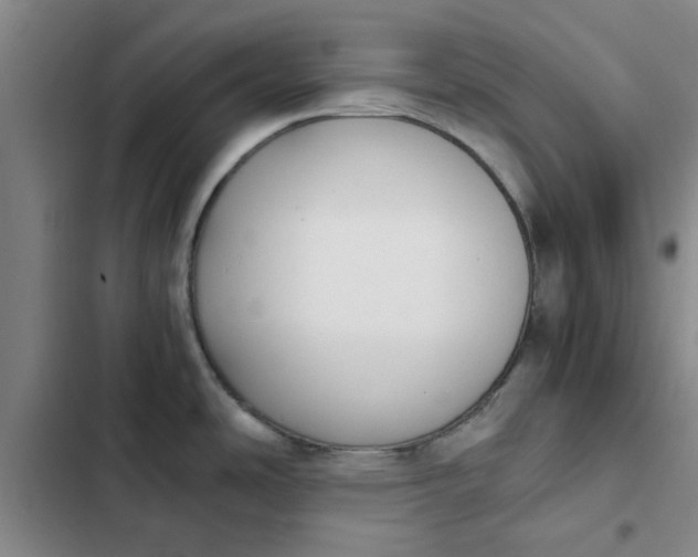 X0000102471486200808221631