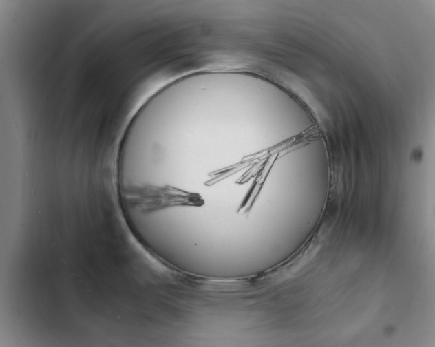X0000102471487200808221631