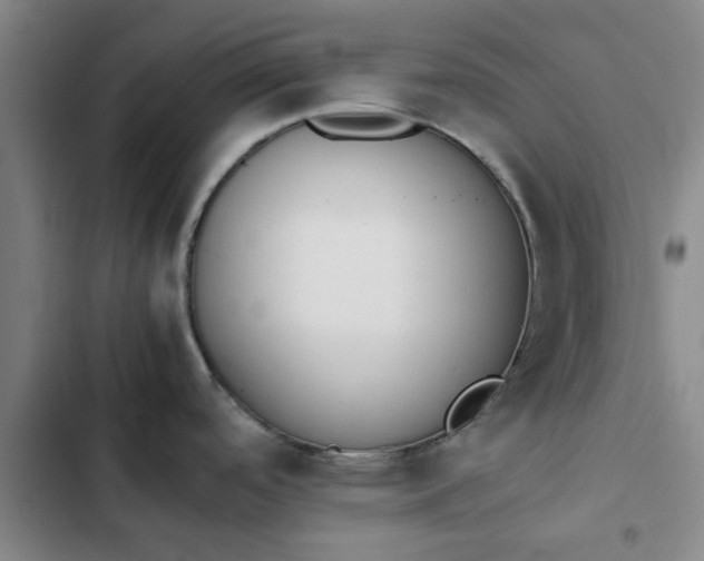 X0000102471488200808221631