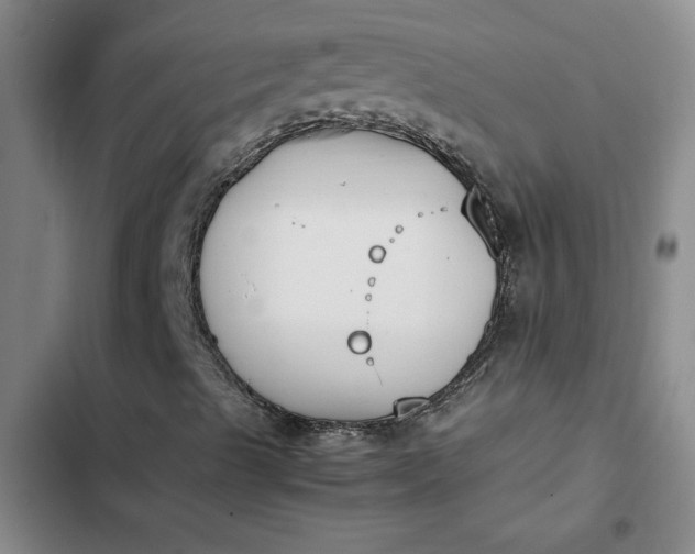 X0000102471489200808221630