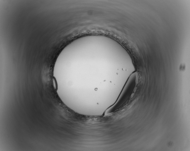 X0000102471490200808221630