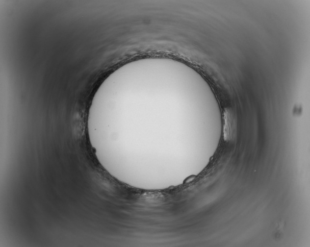 X0000102471491200808221630