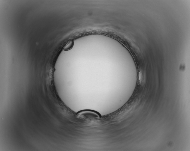 X0000102471492200808221630