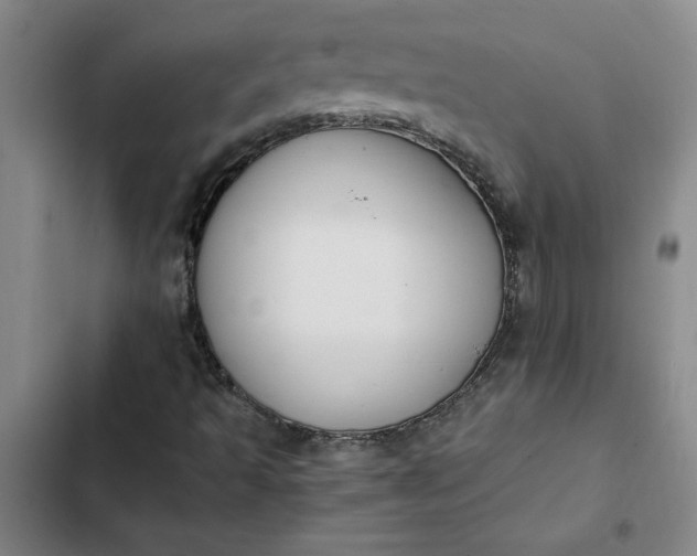 X0000102471493200808221630