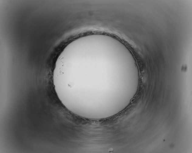 X0000102471495200808221630