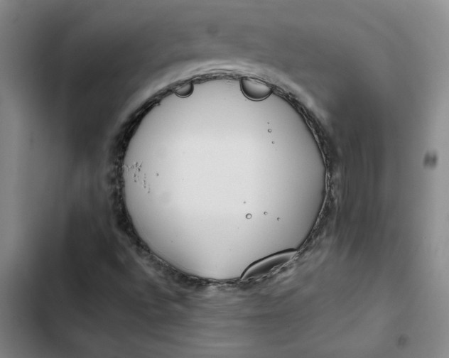 X0000102471496200808221630