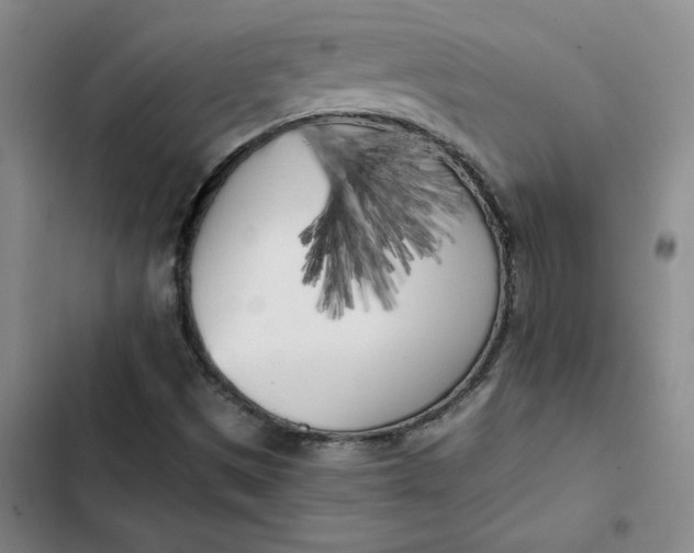 X0000102471497200808221630