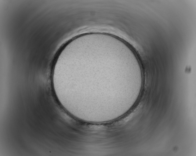 X0000102471498200808221630