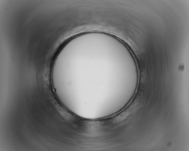 X0000102471499200808221630