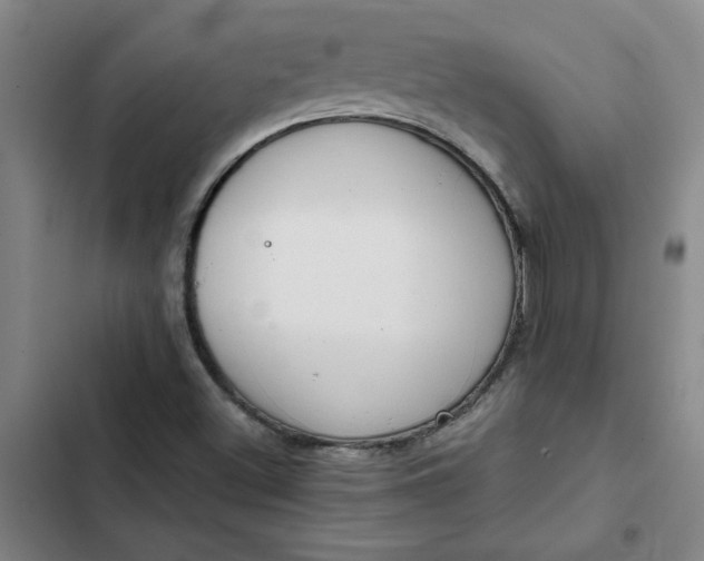X0000102471500200808221630
