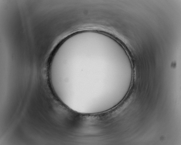 X0000102471501200808221630