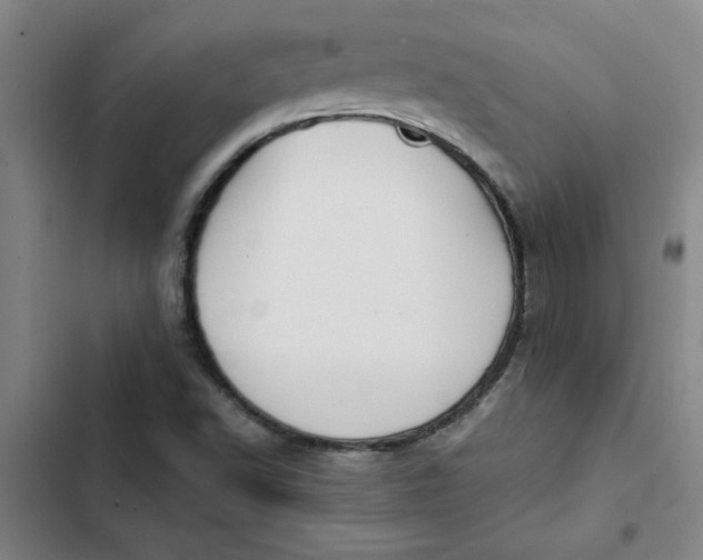 X0000102471502200808221630