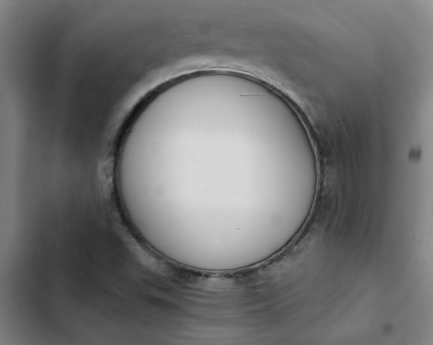X0000102471503200808221631