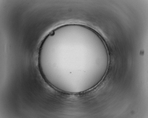 X0000102471504200808221631