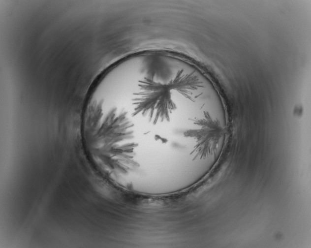 X0000102471505200808221631