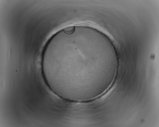 X0000102471506200808221631