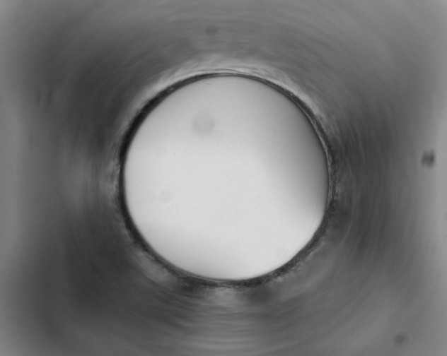 X0000102471507200808221631