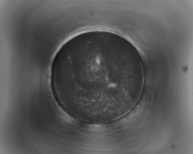 X0000102471508200808221631