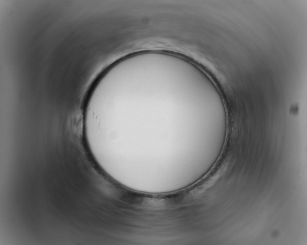 X0000102471509200808221631
