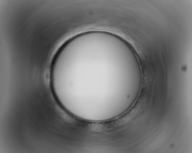 X0000102471511200808221631