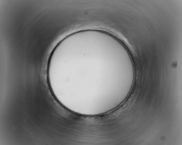 X0000102471512200808221631