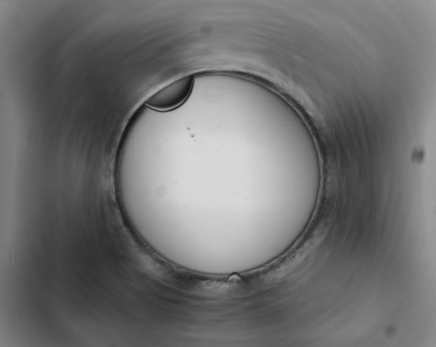 X0000102471513200808221631