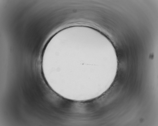 X0000102471514200808221631