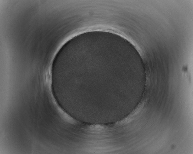 X0000102471515200808221631