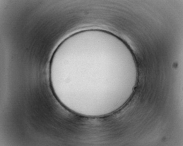 X0000102471516200808221631