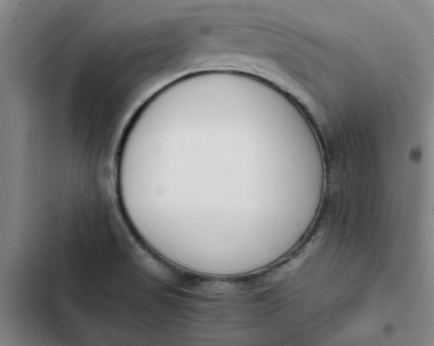 X0000102471517200808221631