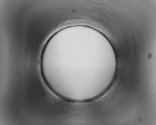 X0000102471518200808221631